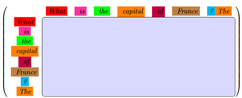 Sliding Window Attention Visual